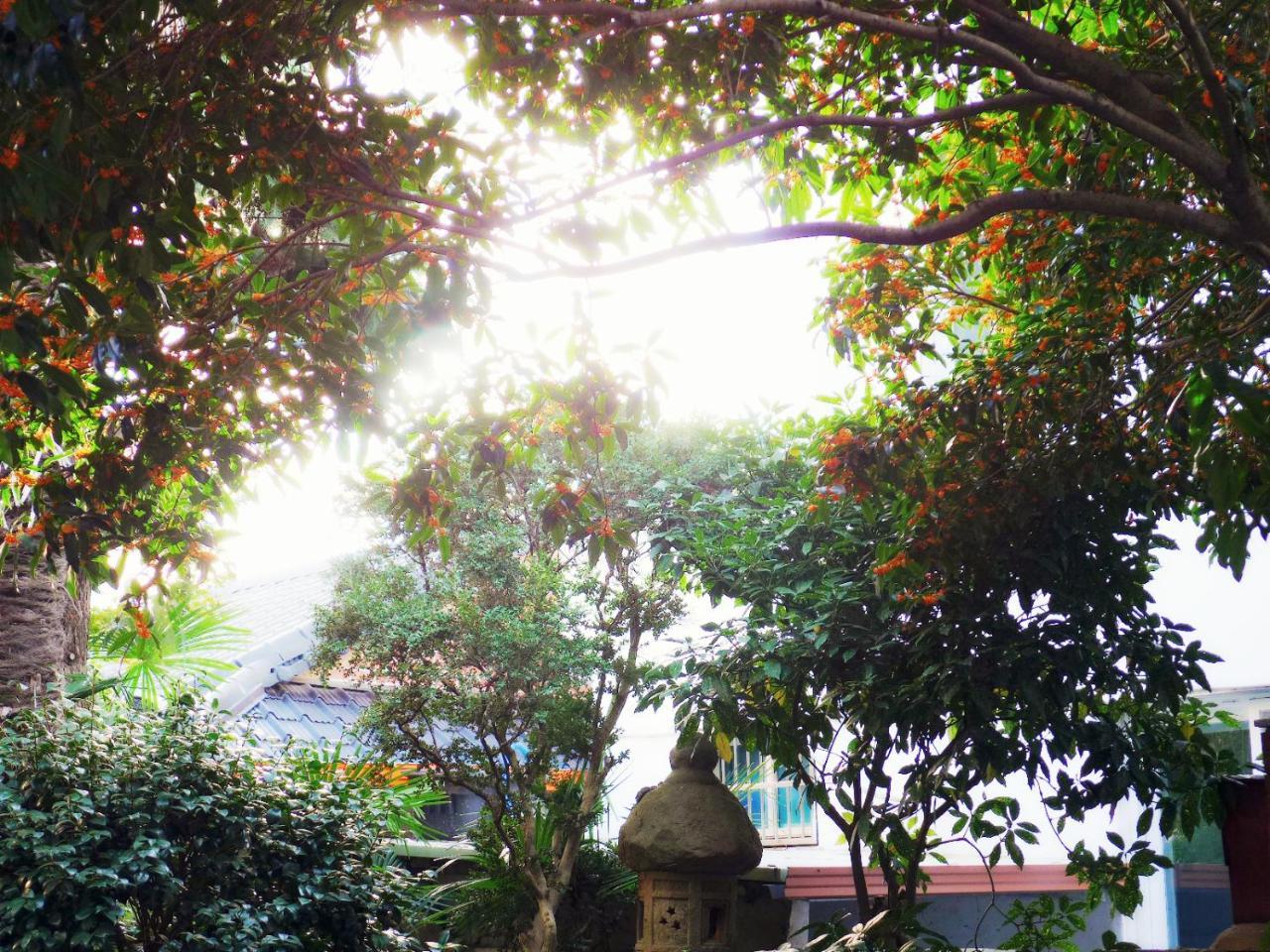 Picasso Guesthouse Mokpo Εξωτερικό φωτογραφία