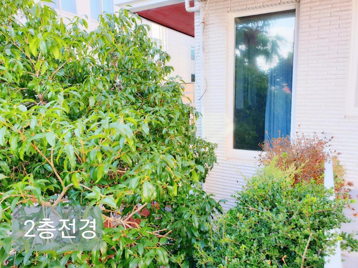 Picasso Guesthouse Mokpo Εξωτερικό φωτογραφία